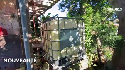 À Vendre : Bâtiment Atypique à Rénover à Yahoué, Nouvelle-Calédonie – Une Opportunité Unique avec Nestenn