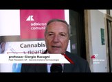 Salute, professor Racagni: “In preparazioni a base di cannabis importante rapporto tra Thc e Cbd”