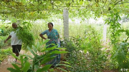 Going hyper-local to decolonize the menu