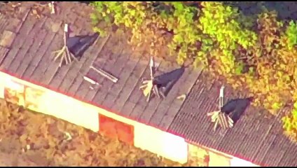 Сводка, 30 октября