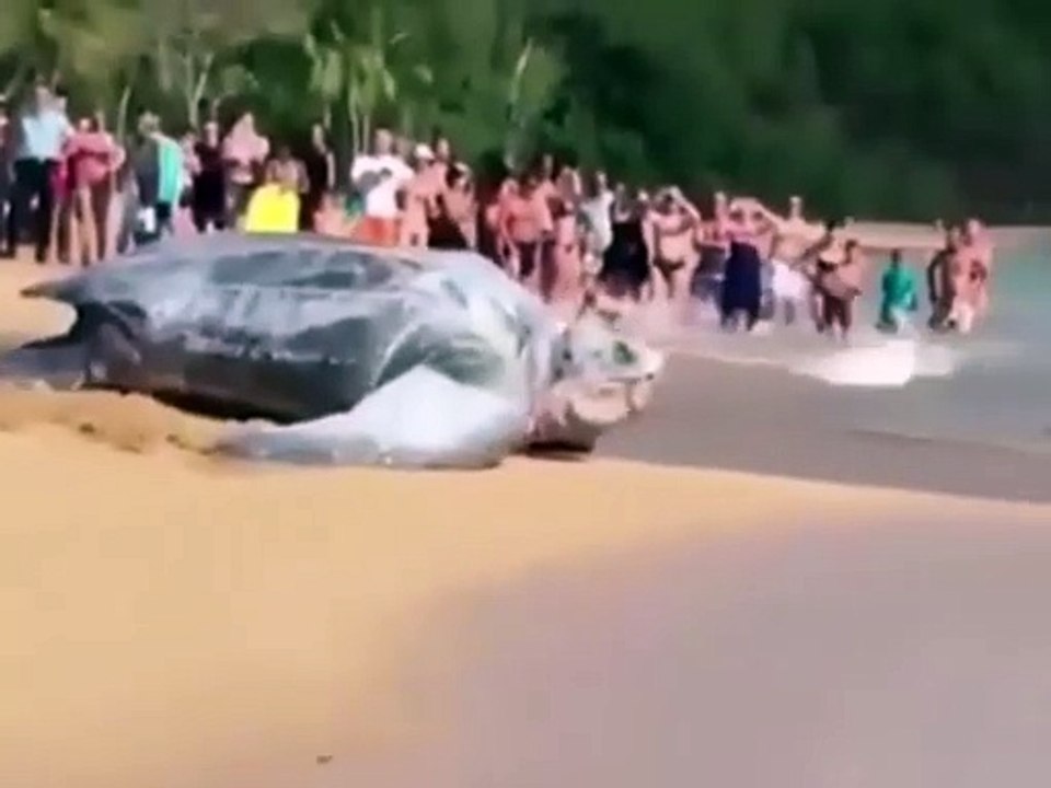 incredible time