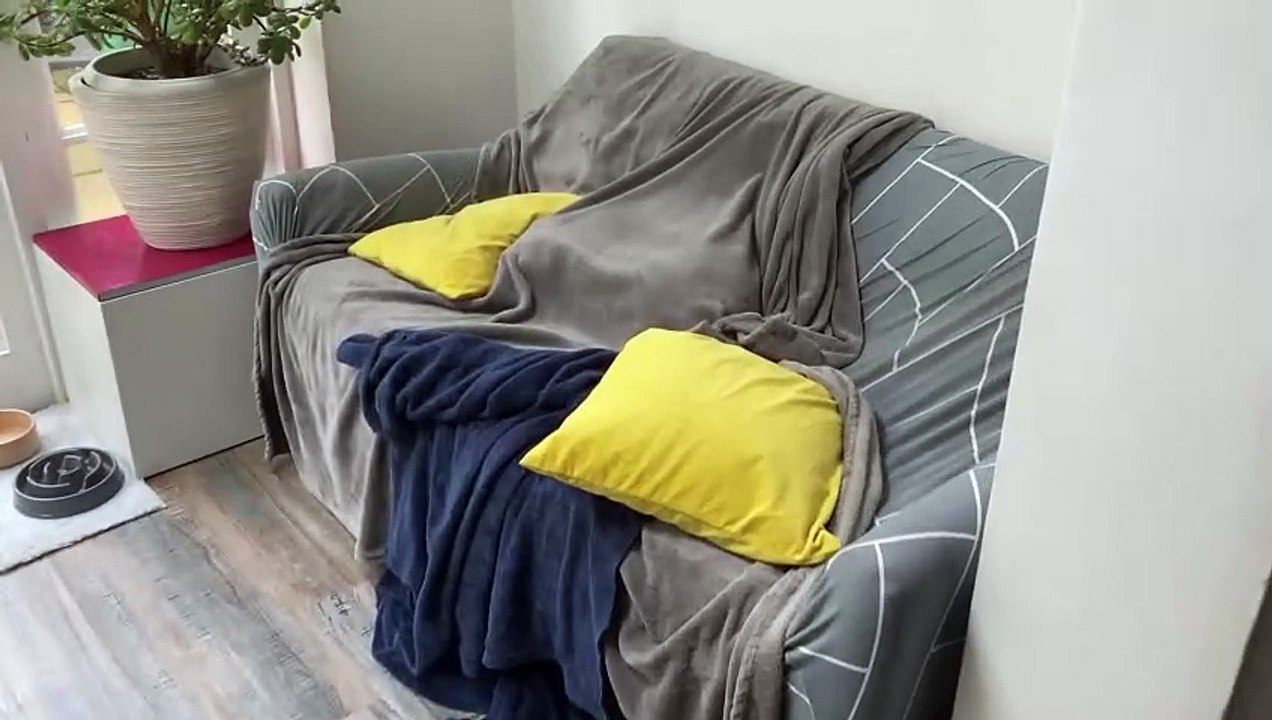 Who Could Be Under There?