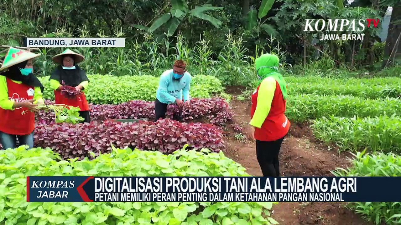 Produk Petani Lembang Agri, Tembus Pasar Luar Negeri
