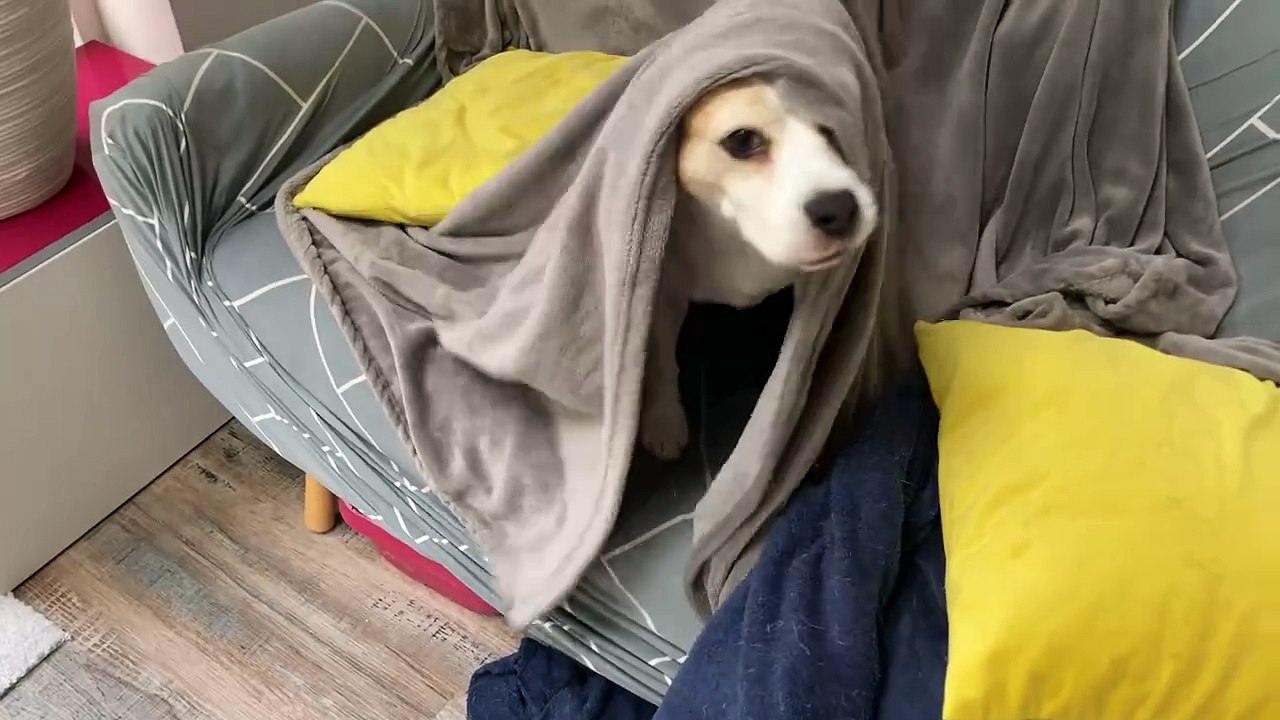 Who Could Be Under There?