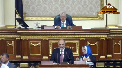 كلمة رئيس مجلس النواب بشأن إصدار قانون المجلس القومي للطفولة والأمومة