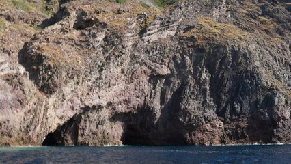 Sale temps pour la planète - Corse, les possibilités d'une île