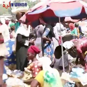 Tchad : le prix du Coro de criquet passe à 5000 FCFA, suscitant des plaintes parmi les commerçants et les consommateurs