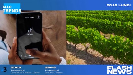 La langue française fait craquer les utilisateurs de TikTok !