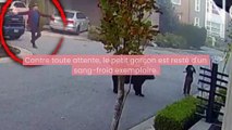 L'incroyable sang froid d'un petit garçon face à un ours.