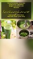Immunity booster, extremely Cheap Only 1 Ingredient Weight Loss Drink In 30 Seconds Recipe & Tips By CWMAP   سستے تر ين سبز پتوں کے ساتھ تین دن کے اندر وزن کم کریں ‏Lose weight within three days with cheap  green leafy vegetable Recipe @ Tips By CWMAP Goo