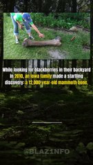 12,000-Year-Old Mammoth Bone Found in Iowa Backyard