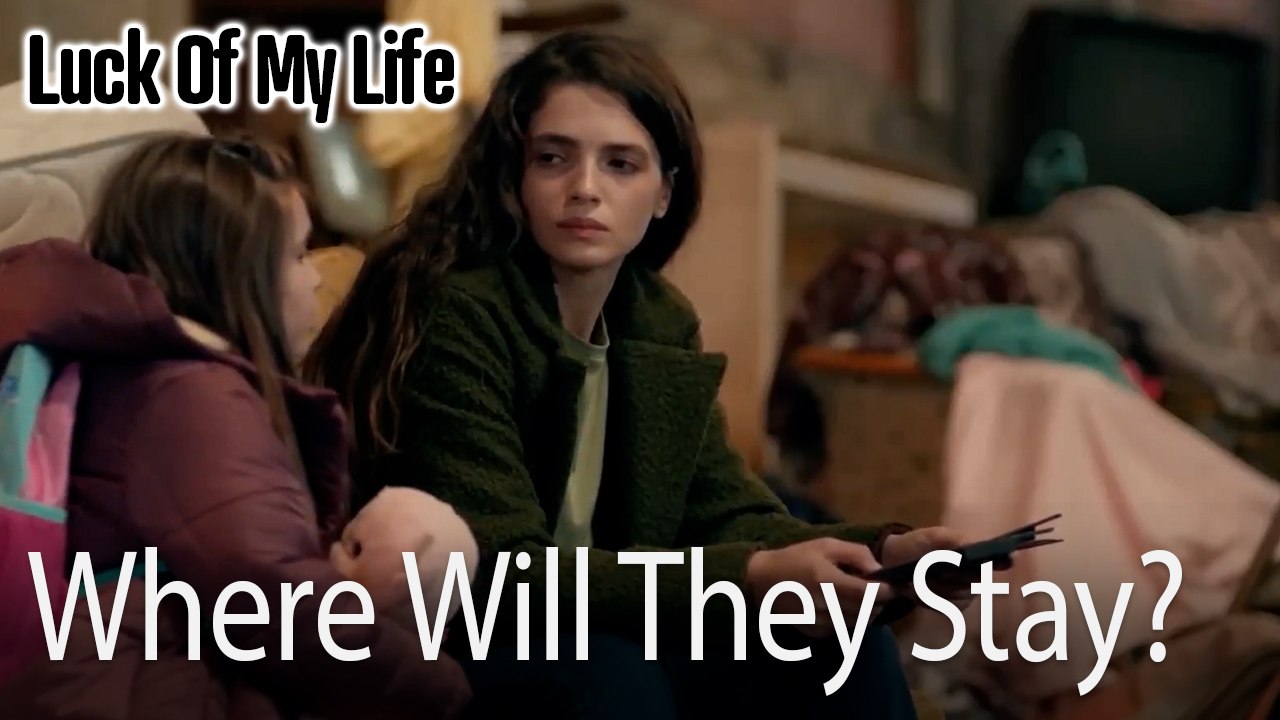 Where Will They Stay?