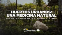 Huertos urbanos: Una medicina natural | Parte III: La sobreproducción desgasta a la tierra
