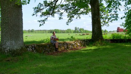 Alles voor Zweden 2023 03