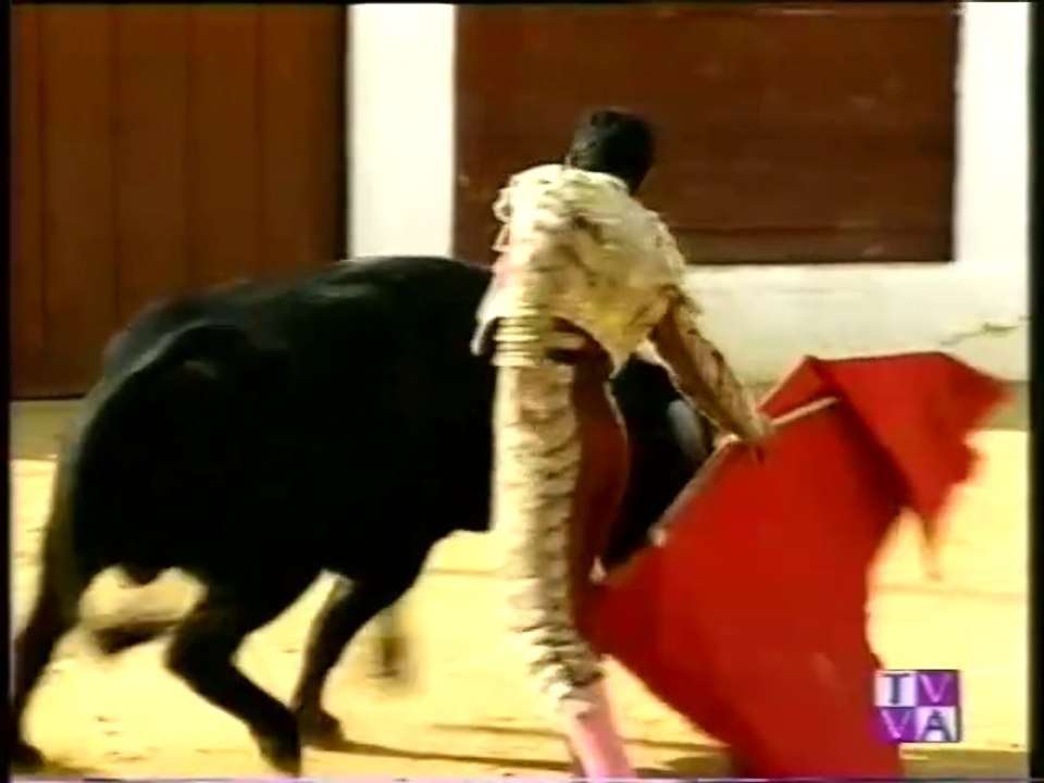 TARDE DE TOROS-RAUL GOMEZ-JOSE MANUEL MONTOLIU-JOSELILLO Y DAVID SAN MARTIN- TUDELA 21 AGOSTO 1996-