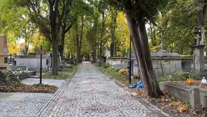 Tarnów - bezpłatna komunikacja w dniu wszystkich świętych