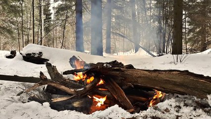 Cute winter forest bonfire - FullHD - True cute fire sound ⛺Quiet MUSIC⛺ Burning campfire on Bonfire Vibez