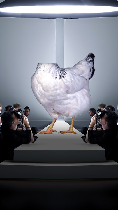 Mike : l'histoire incroyable du poulet sans tête