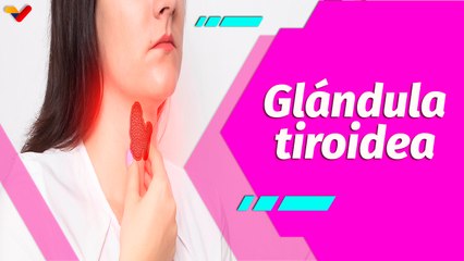 Buena Vibra | ¿Conoces la glándula tiroidea y sus funciones?