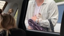 Parents surprise their cute daughter with a kitty of her own *Wholesome Cat Surprise*