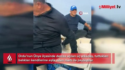 Tuttukları balıkları beraber açıldıkları 'martı' ile paylaştılar