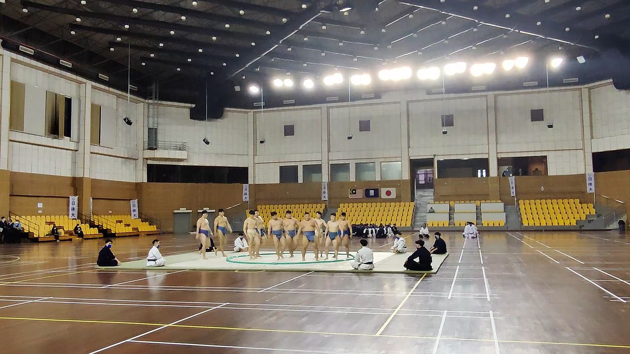 Sumo