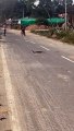 Video: हरदोई में बीच सड़क पर सांप और नेवले की जांग, सांप को झाड़ियों में खींच ले गया; देखें वीडियो