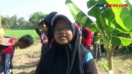 Ratusan Relawan Bersihkan Hamparan Eceng Gondok dari Sungai Bengawan Solo