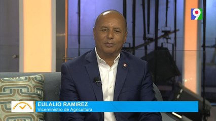 Aulalio Ramírez Viceministro de agricultura | El Despertador SIN
