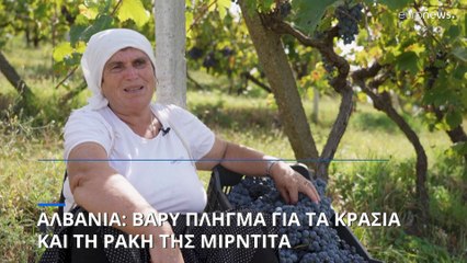 Αλβανία: Βαρύ πλήγμα για τα κρασιά και την ρακή της Μιρντίτα