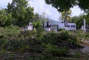 Regidora lanza campaña “Repoblando de Árboles Puerto Vallarta” tras huracán “Lidia”