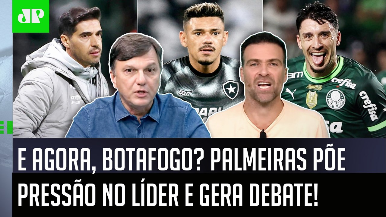 "EU ACHO ISSO UMA LOUCURA! O Botafogo pra mim..." PRESSÃO no LÍDER e CAÇA do Palmeiras GERAM DEBATE!