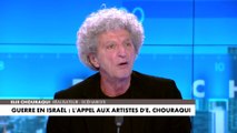 Élie Chouraqui : «Tous ceux qui ont le désir de faire en sorte que leurs enfants vivent heureux, dans des démocraties apaisées, doivent être derrière Israël»