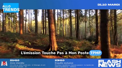 L'avenir de Stéphane Plaza : l'annonce percutante d'Hugo Manos sur TPMP !