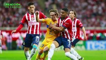 Tigres ha sido un dolor de cabeza para Chivas