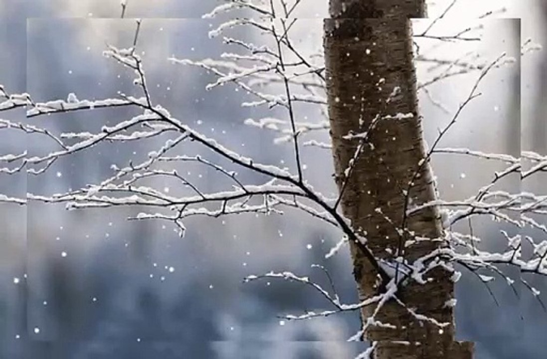 cold