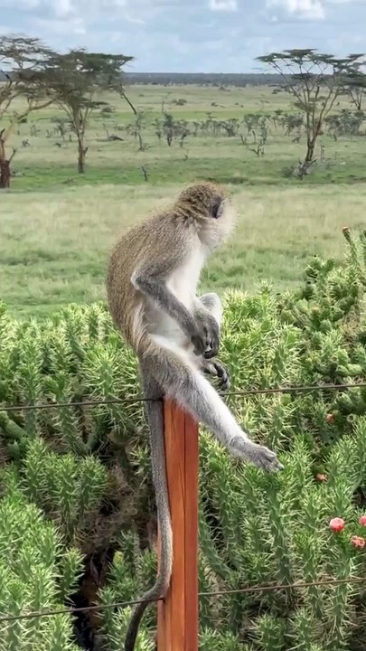 Sarah Lavoine partage des images de ses vacances avec ses trois enfants, Yasmine, Roman et Milo, en Afrique du Sud