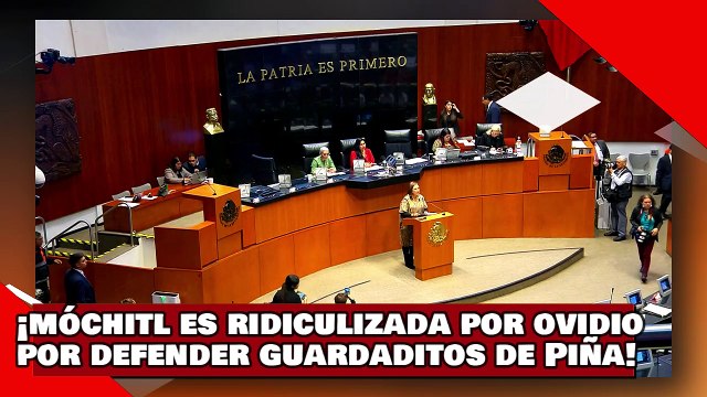 ¡VEAN! ¡’Móchitl’ la botarga del Sr. X. es ridiculizada por Ovidio por defender guardaditos de Piña!