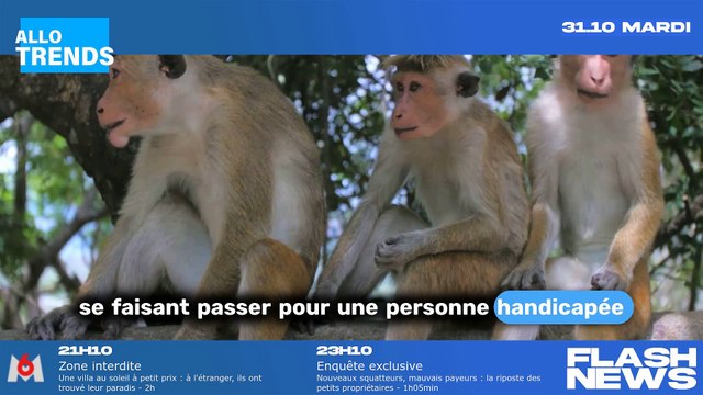 La querelle entre Franck Dubosc et Gérard Darmon : les coulisses d'un tournage explosif.