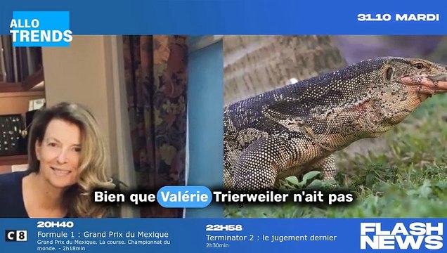 Valérie Trierweiler, enfin la réconciliation familiale après une grosse bagarre de ses fils