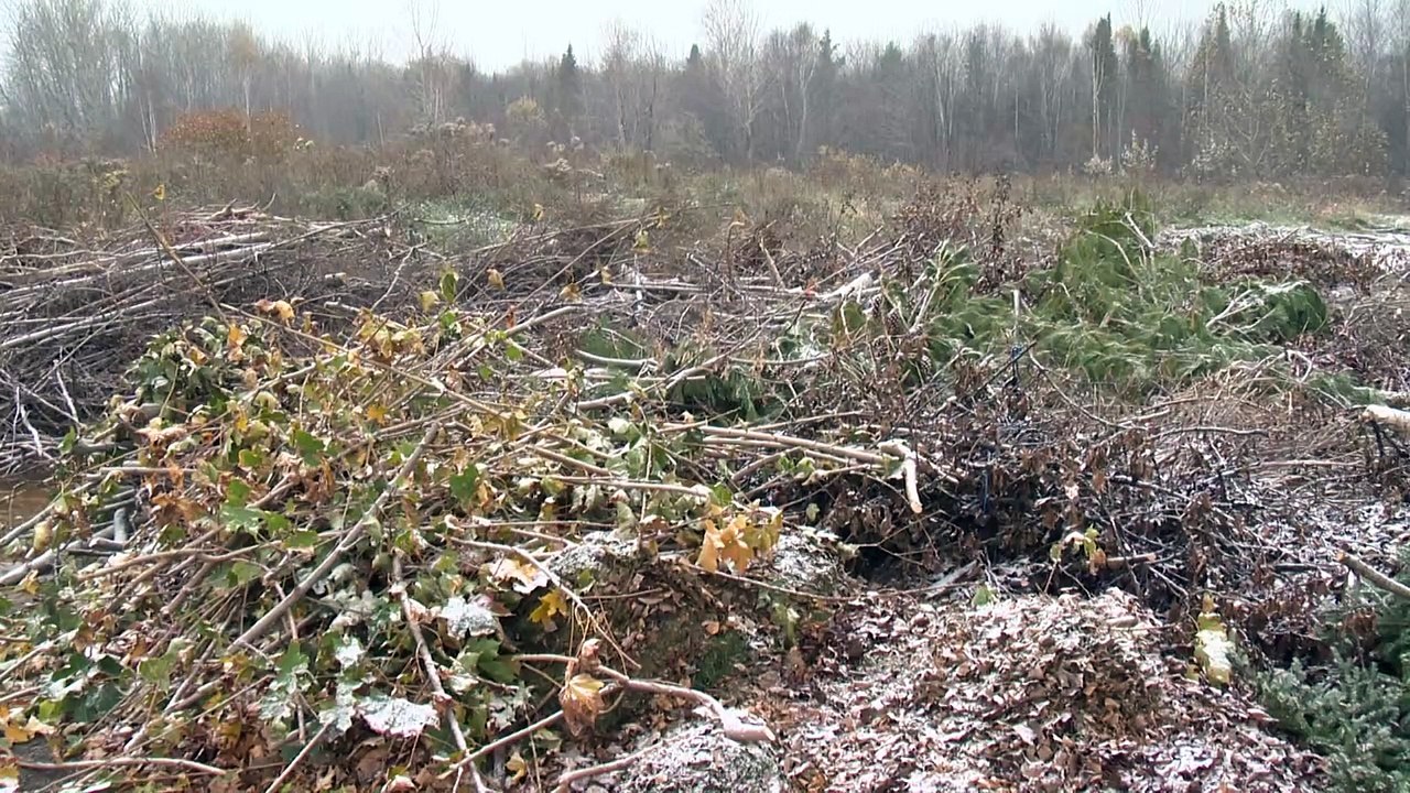 30 oct TOPO HN parc industriel Pointe a la croix v2