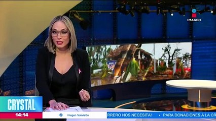 VIDEO: Mujer policía amamanta a bebé damnificado en Acapulco