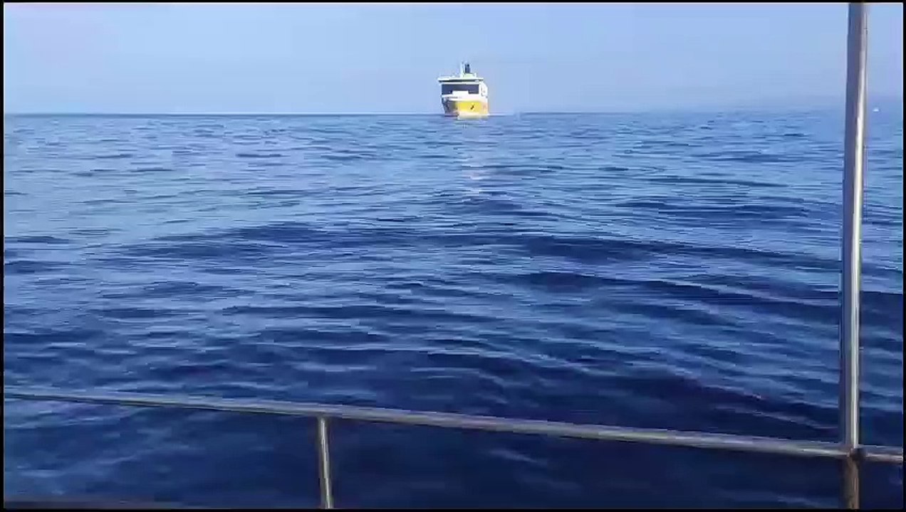 "J’ai été projeté au sol dans mon bateau": un pêcheur varois frôlé par un ferry dans la rade de Toulon