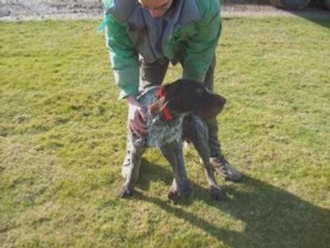 Video 7430 6830 6620_0001