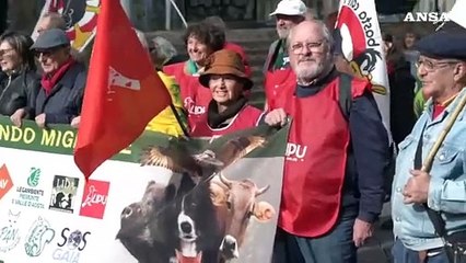 Torino in corteo per la difesa degli animali