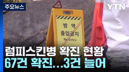 럼피스킨 병 경남까지 확산...오늘 추가 백신 도착 / YTN