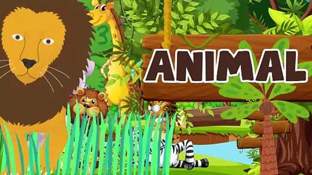 Learning about animals for preschoolers - Learn animal for toddlers - lion