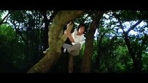 The Drunken Master (1978) | Jackie Chan