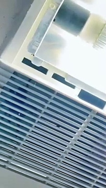 Tarantula In The Shower Vents