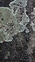 Polution planétaire